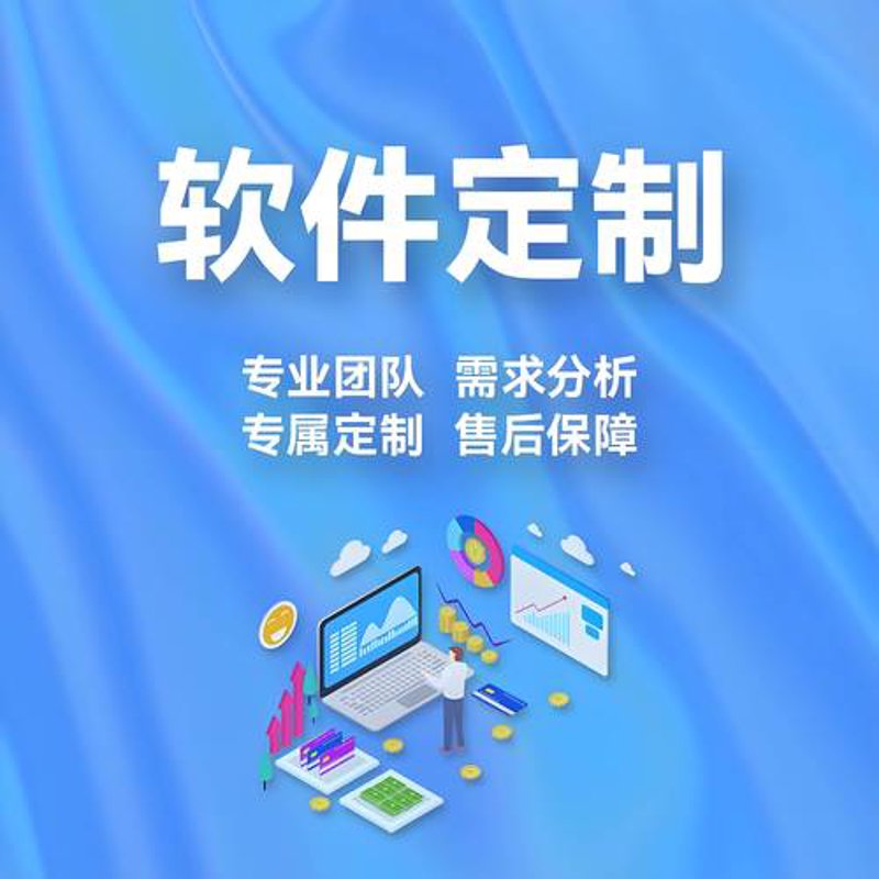 如何选择适合的软件定制开发服务